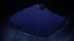 Finding Nemo 2003 720p BluRay YIFY