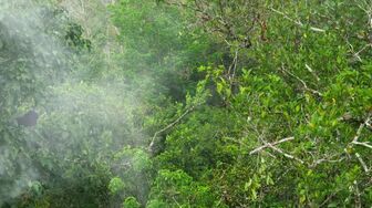 Shared Planet S01E03 WEB H264-RBB