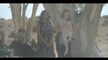 RFDS S03E07 720p WEB-DL AAC2 0 H 264-WH
