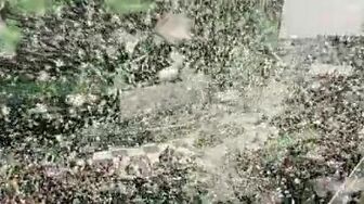 F1 - the movie 2025